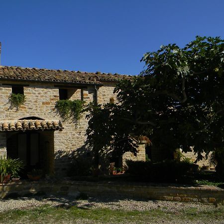 Azienda Agrituristica Colle San Giorgio Castiglione Messer Raimondo エクステリア 写真
