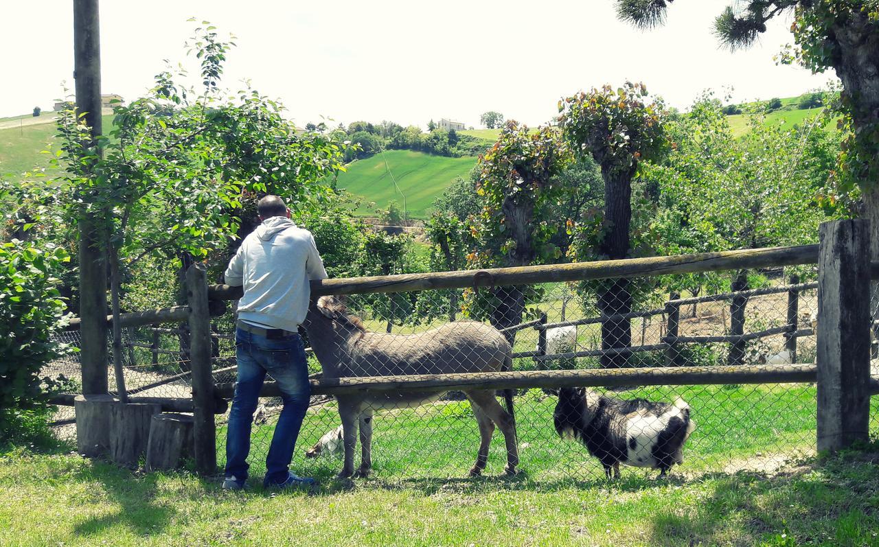 Azienda Agrituristica Colle San Giorgio Castiglione Messer Raimondo エクステリア 写真