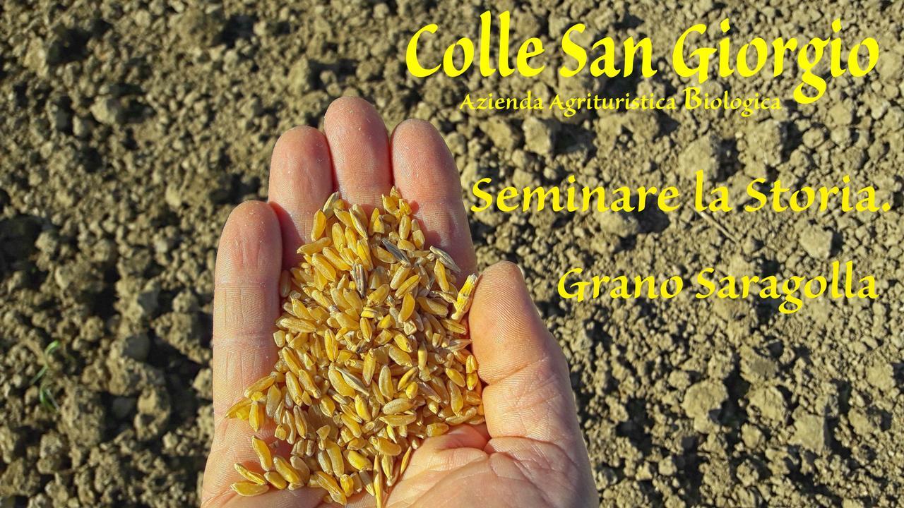 Azienda Agrituristica Colle San Giorgio Castiglione Messer Raimondo エクステリア 写真