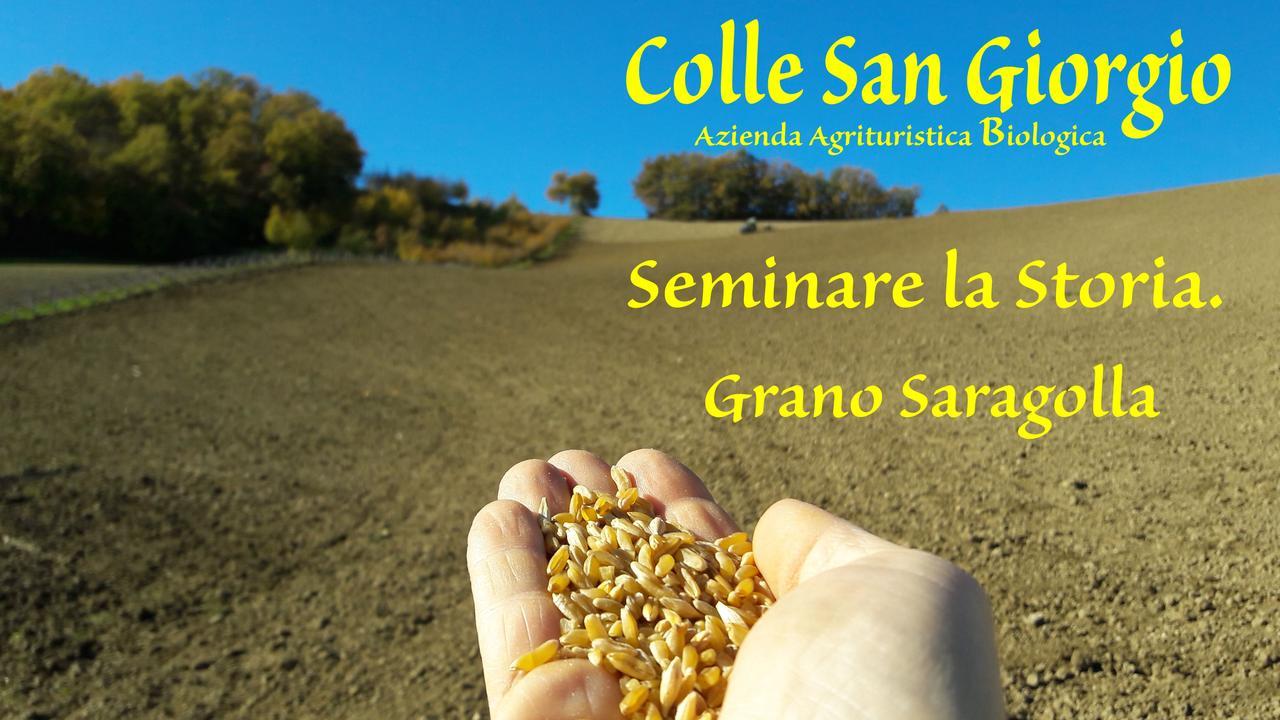 Azienda Agrituristica Colle San Giorgio Castiglione Messer Raimondo エクステリア 写真
