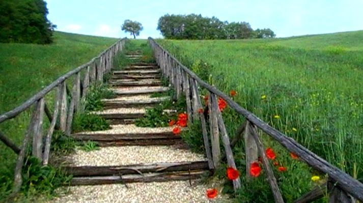 Azienda Agrituristica Colle San Giorgio Castiglione Messer Raimondo エクステリア 写真